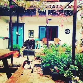 호스텔 Memedim Zeynep's Kıyıkıslacık