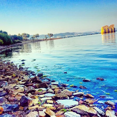 Memedim Zeynep's * Kıyıkıslacık