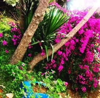 Hostel Memedim Zeynep's Kıyıkıslacık