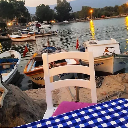 Memedim Zeynep's