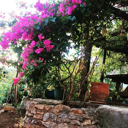 Memedim Zeynep's Kıyıkıslacık